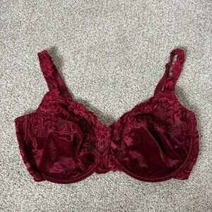 Marie Jo Bra Maroon Burgundy Velvet Size UK 40 E Embroidered Sexy Beautiful